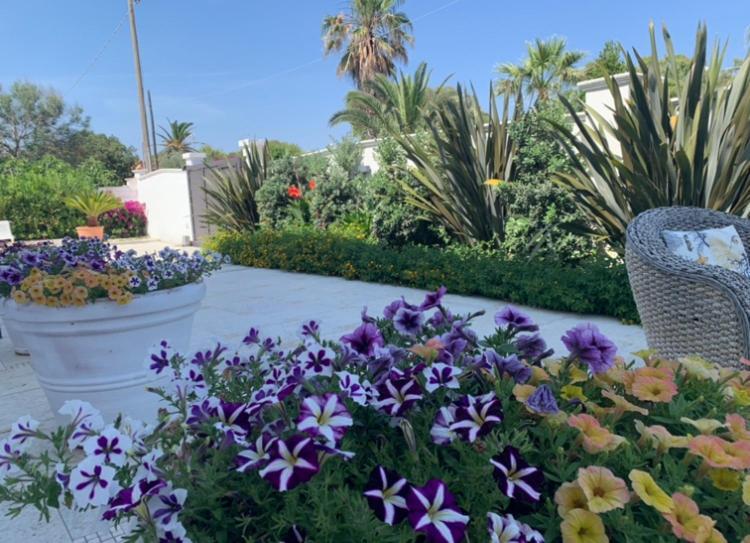 Villa Katy Salento Campomarino  Eksteriør billede